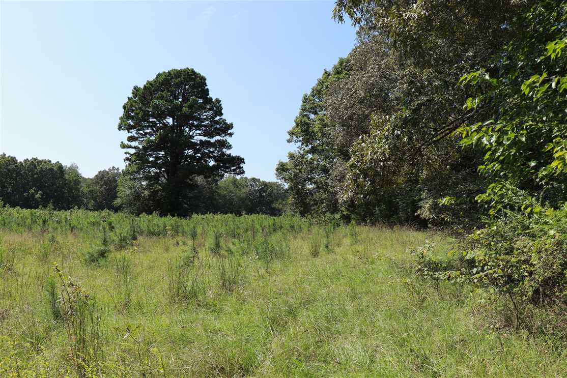 Land for sale at 00 Sunset Park Road