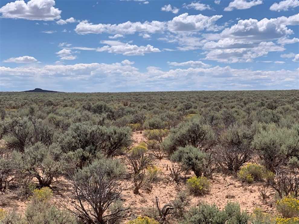 260 Acres of Land for sale in taos County, New Mexico