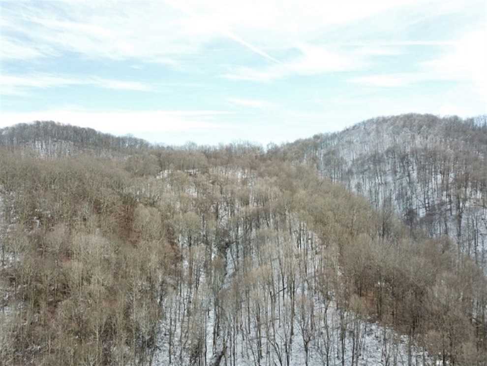 tazewell County, Virginia property for sale