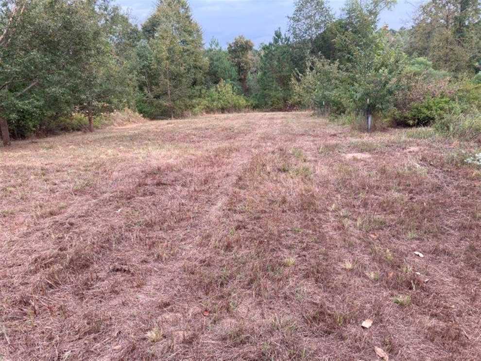 Land for sale at