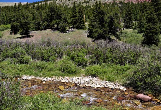 48 Acres of Land for Sale in park County Colorado