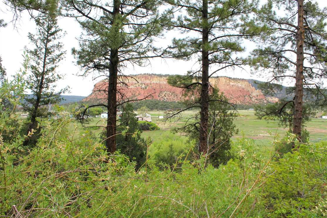 34 Acres of Land for sale in rio arriba County, New Mexico