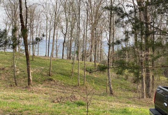 6 Acres of Land for Sale in bledsoe County Tennessee