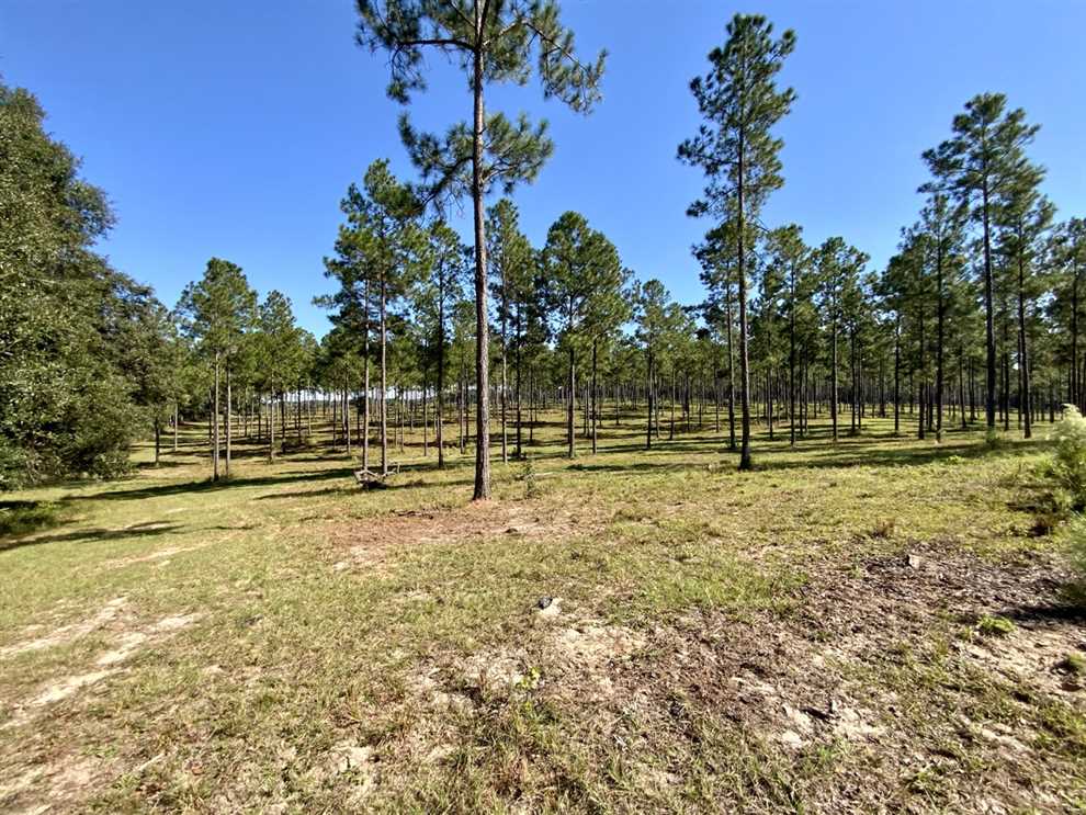 112.7 Acres of Recreational land for sale in Madison, madison County, Florida