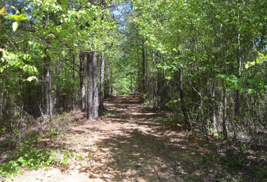 365 Acres of Land for Sale in autauga County Alabama