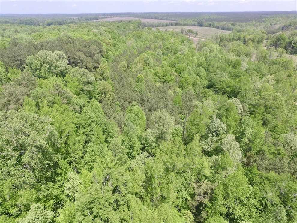 13.2 acres of Residential Land For Sale in Brunswick VA! Real estate listing