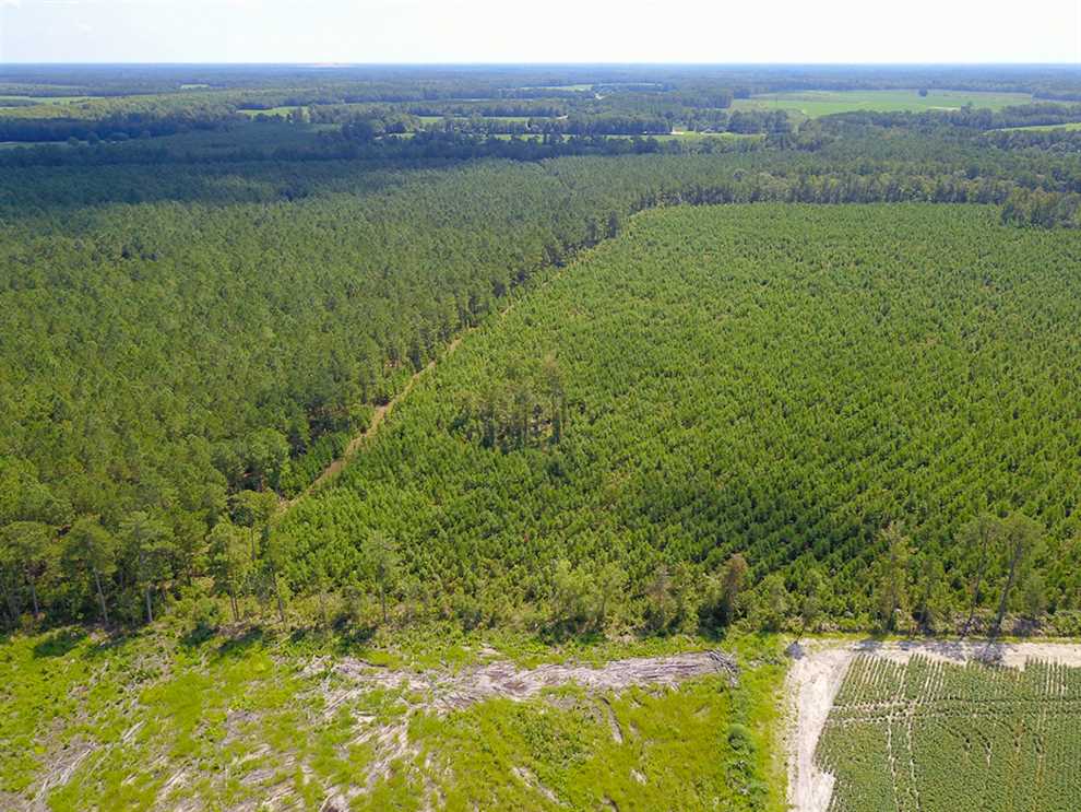 Land for sale at 601 NC Hwy 11 N