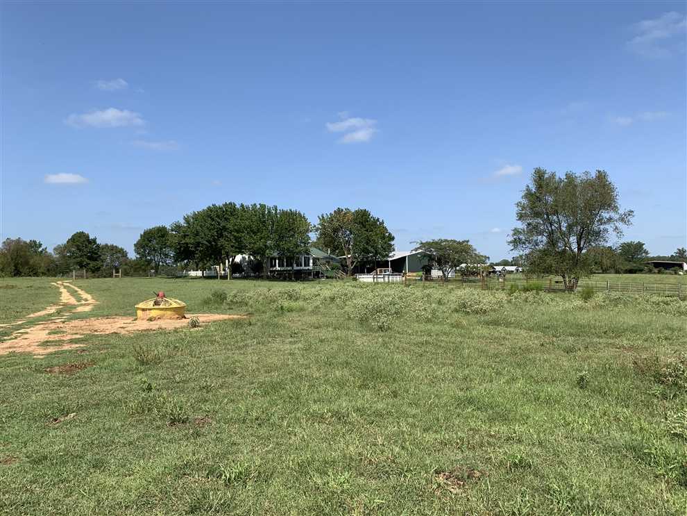 162 Acres of Timberland land for sale in Rison, cleveland County, Arkansas