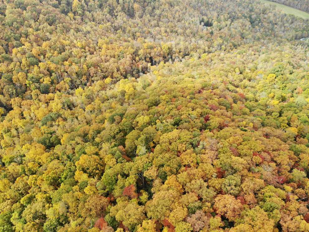 15.85 Acres of Land for sale in buncombe County, North Carolina