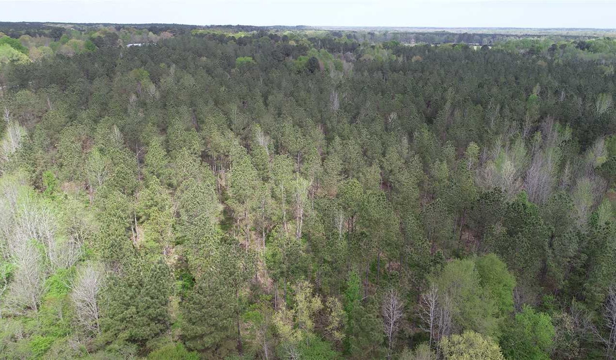 property for sale on The Land Market