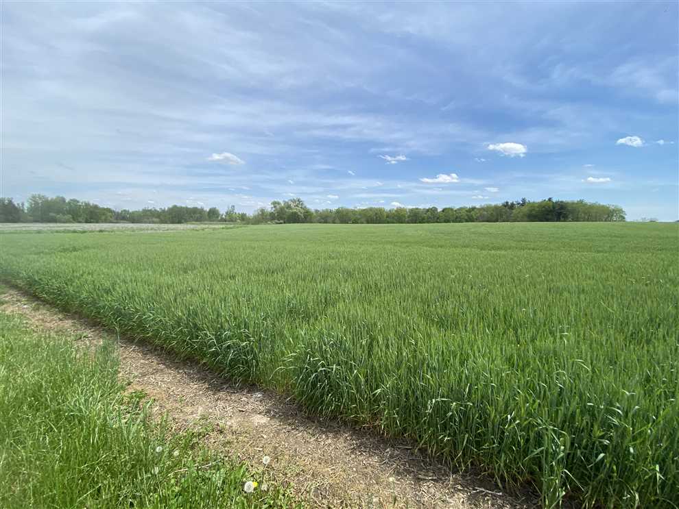 24 Acres of Residential land for sale in Daleville, delaware County, Indiana