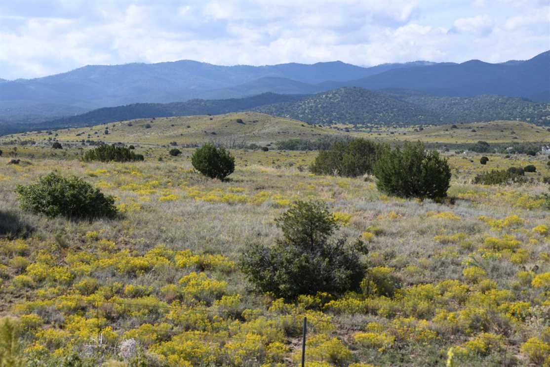140.55 Acres of Land for sale in lincoln County, New Mexico