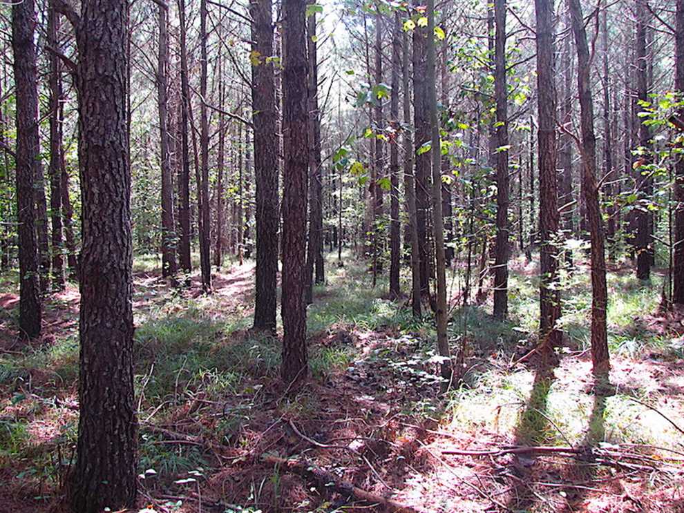 property for sale on The Land Market
