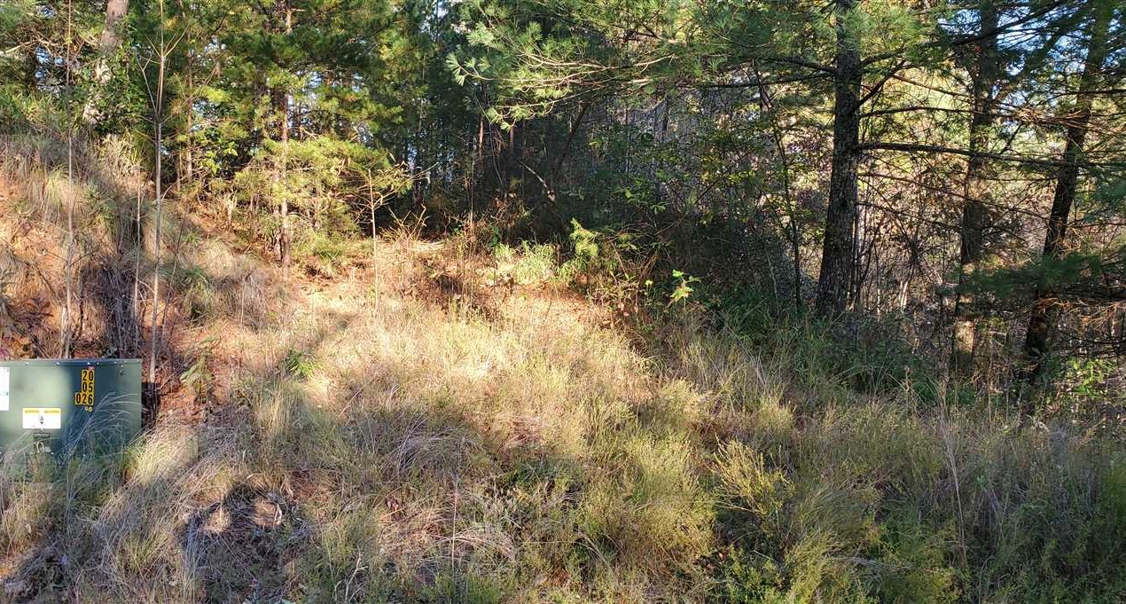Land for sale to buy in 28611 zip code