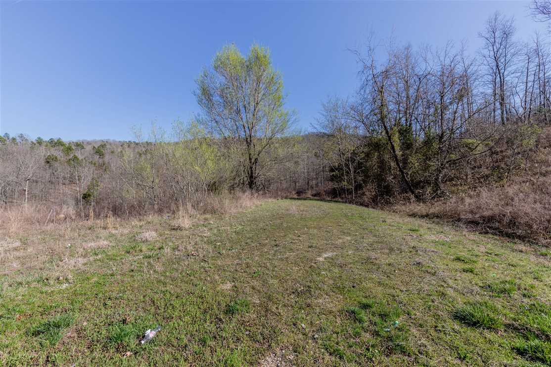 16 Acres of Development land for sale in Van Buren, carter County, Missouri