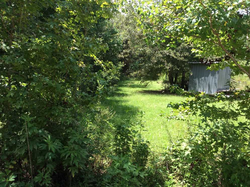 Timberland real estate available to buy
