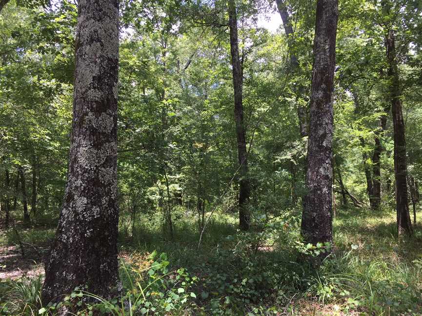 ouachita County, Louisiana property for sale