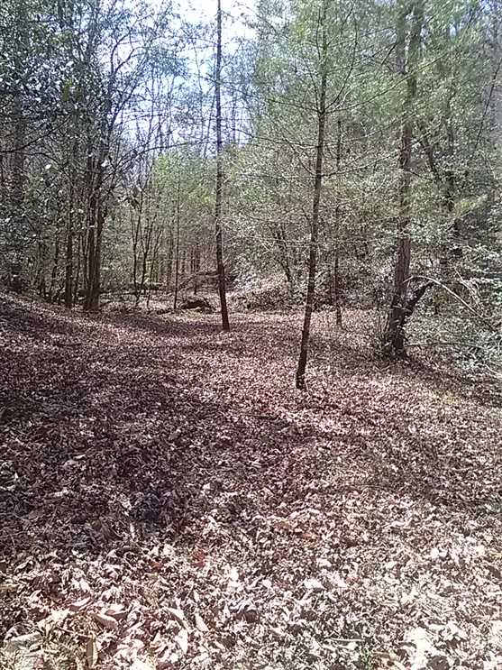 Houses and land for sale in North Carolina