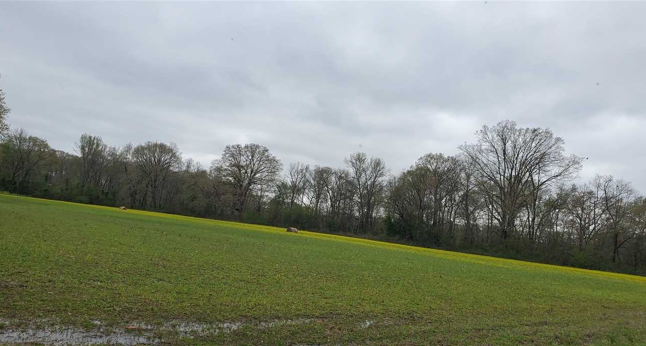 Priced reduced -McRae Arkansas 130+- Price Reduced - Ac - Hunting, Fishing, Farming - Interstate frontage.  All in one.  Call Cecil Oursbourn 501-679-1660 - Certified Land Specialist. Real estate listing