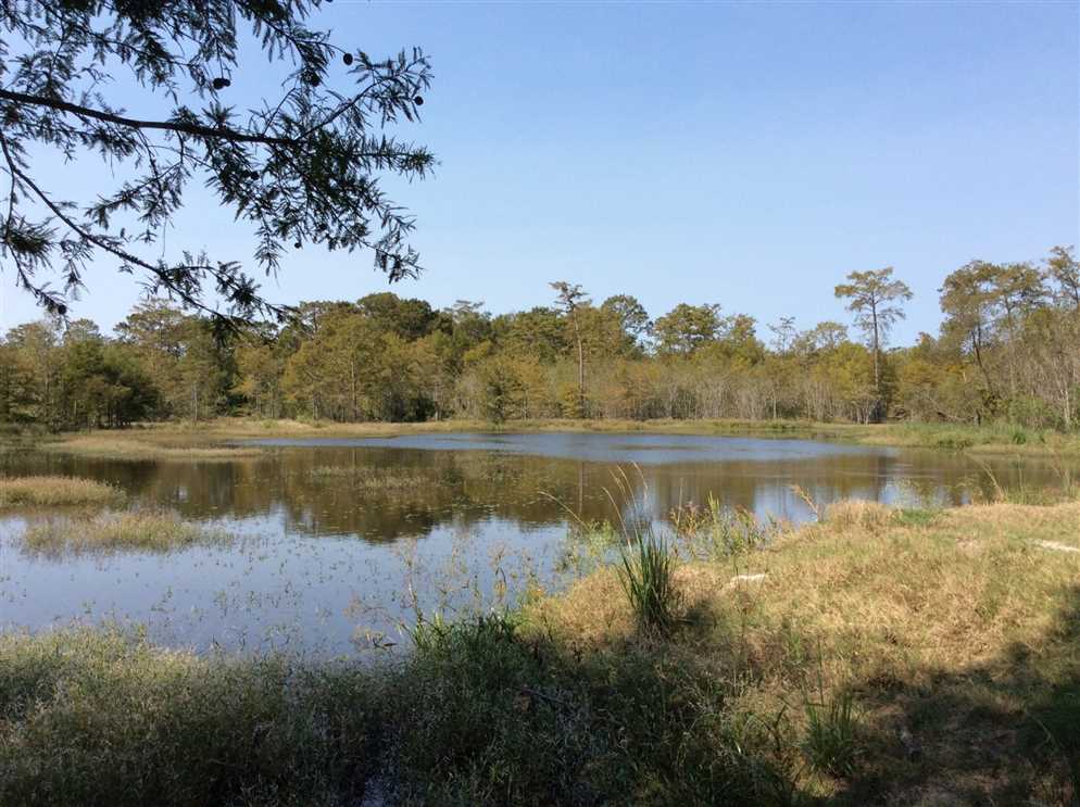 Houses and land for sale in Louisiana