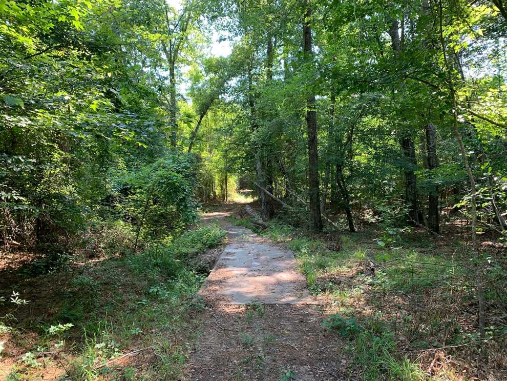 200 Acres of Recreational land for sale in Downsville, union County, Louisiana