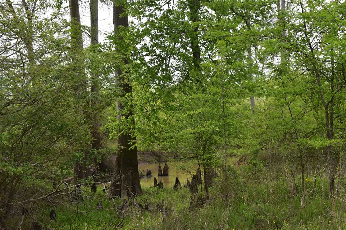Houses and land for sale in Arkansas