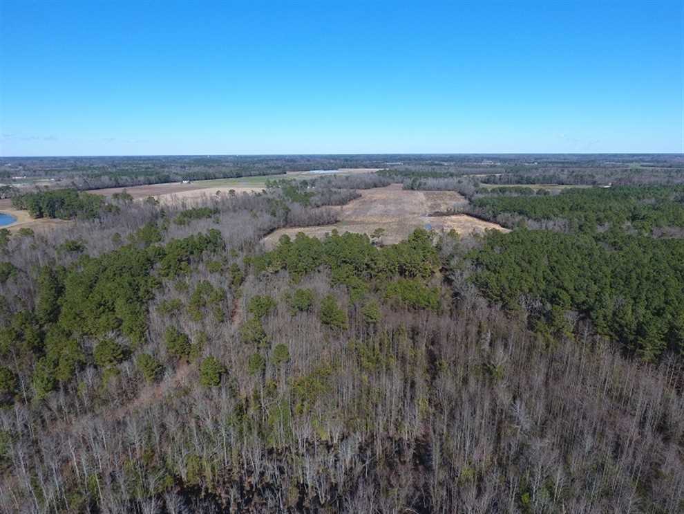 107.5 acres of Hunting and Timberland for Sale in Robeson County NC! Real estate listing