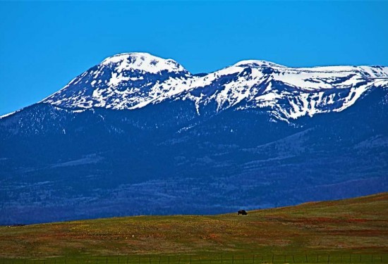 433 Acres of Land for Sale in park County Colorado