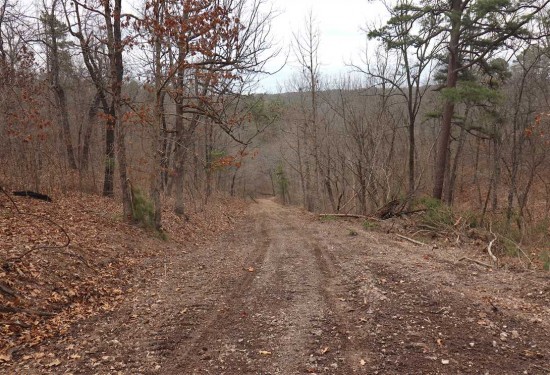 34.28 Acres of Land for Sale in carroll County Arkansas