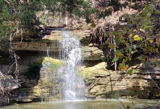 112.4 Acres of Land for Sale in newton County Arkansas
