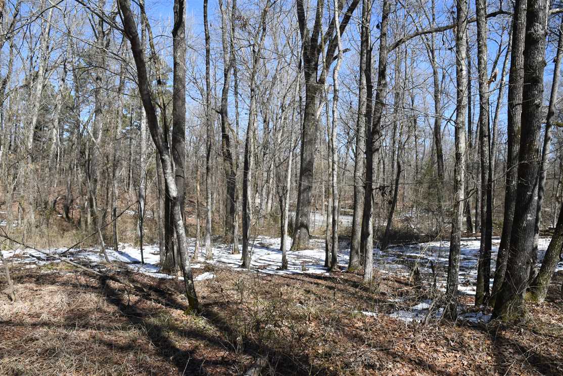 Recreational and   property for sale on The Land Market