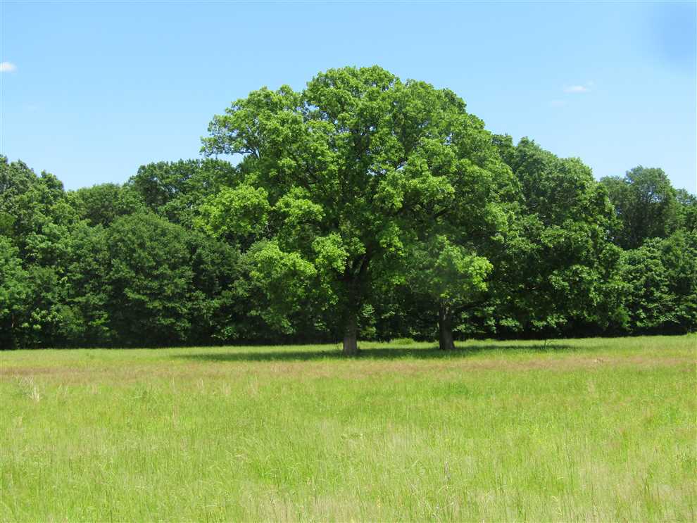 Land for sale at 479 N 4300 Rd