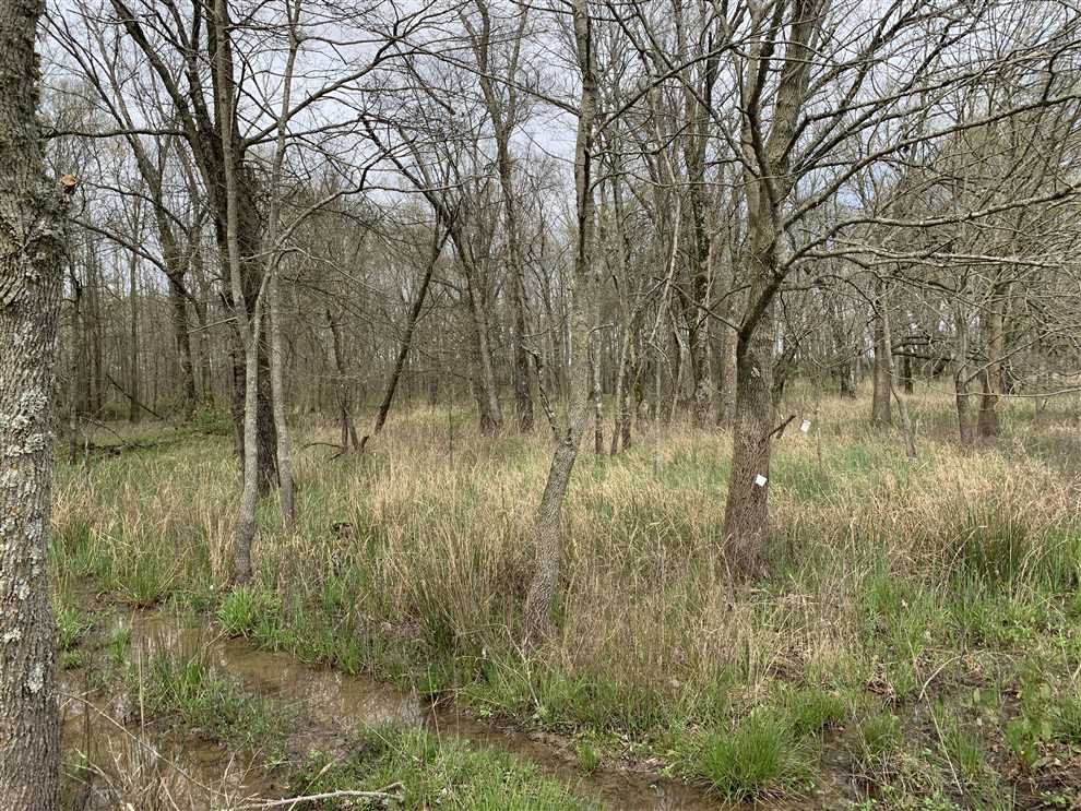 Farmland real estate available to buy