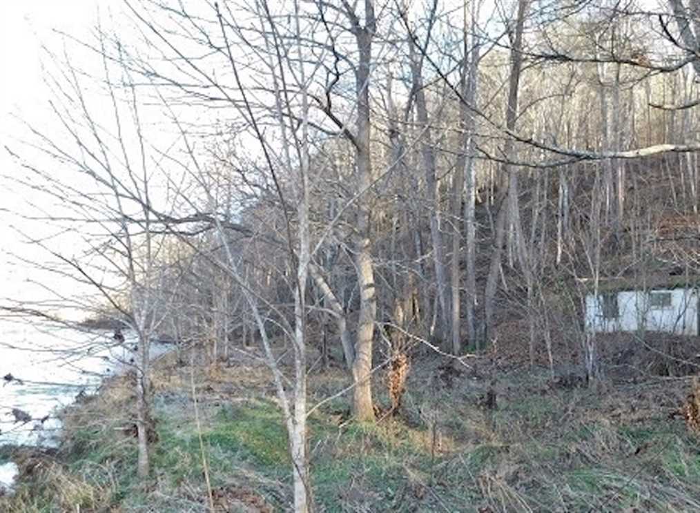 Property for sale at 354 Farris Mines Rd.