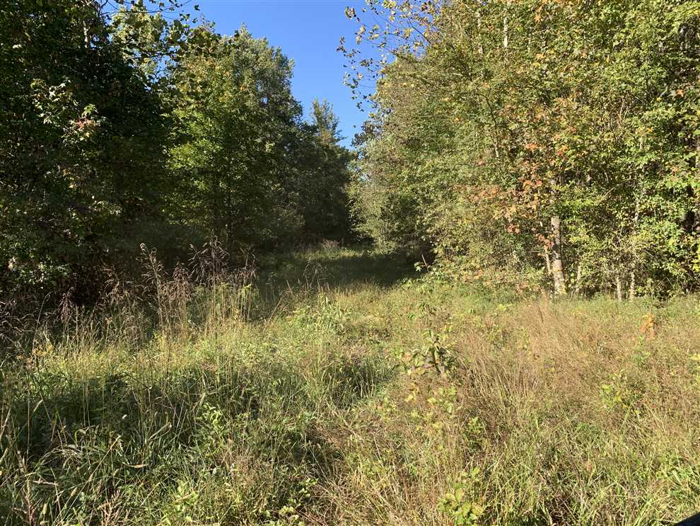 77 Acres of Recreational land for sale in Pleasant Plains, white County, Arkansas