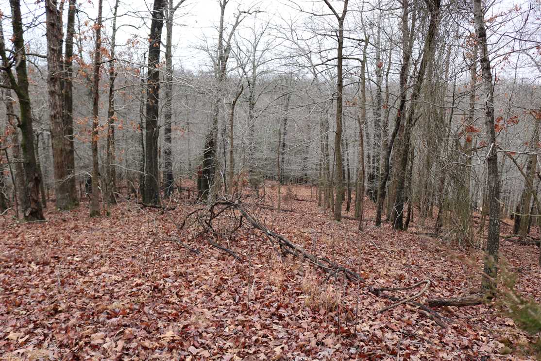 Recreational and   property for sale on The Land Market