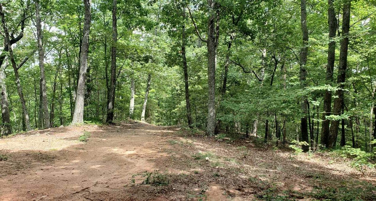 rutherford County, North Carolina property for sale