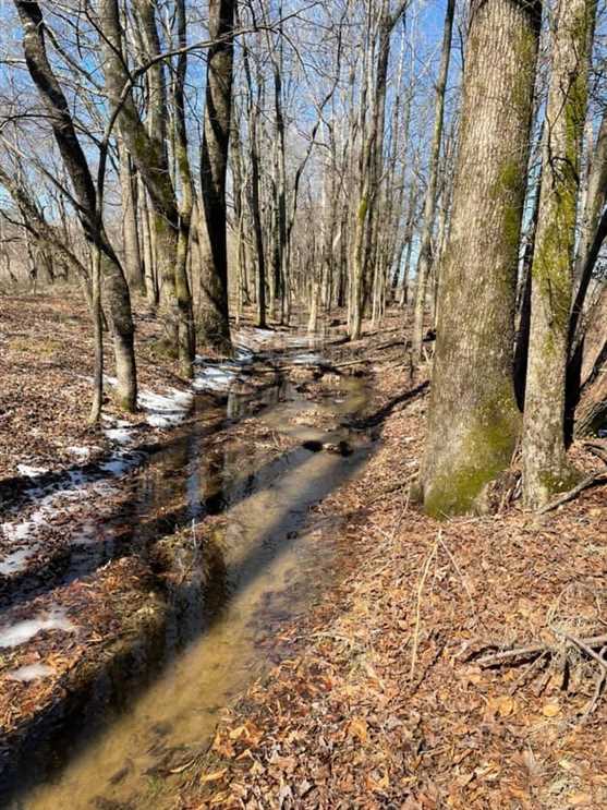 Farmland real estate available to buy