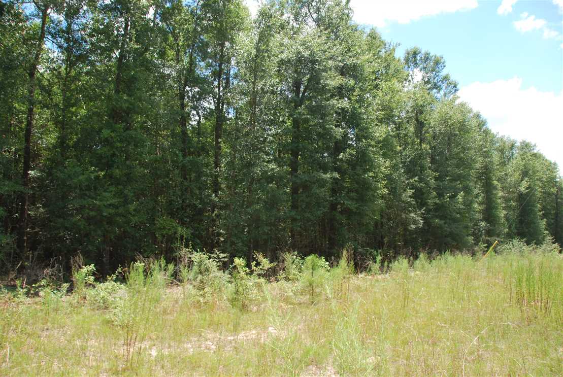 Houses and land for sale in Alabama
