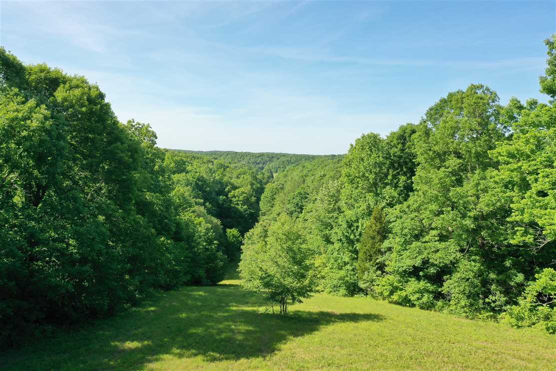 Stunning 5.29 Acre Lot with view of a valley, minutes from Kentucky Lake! Real estate listing