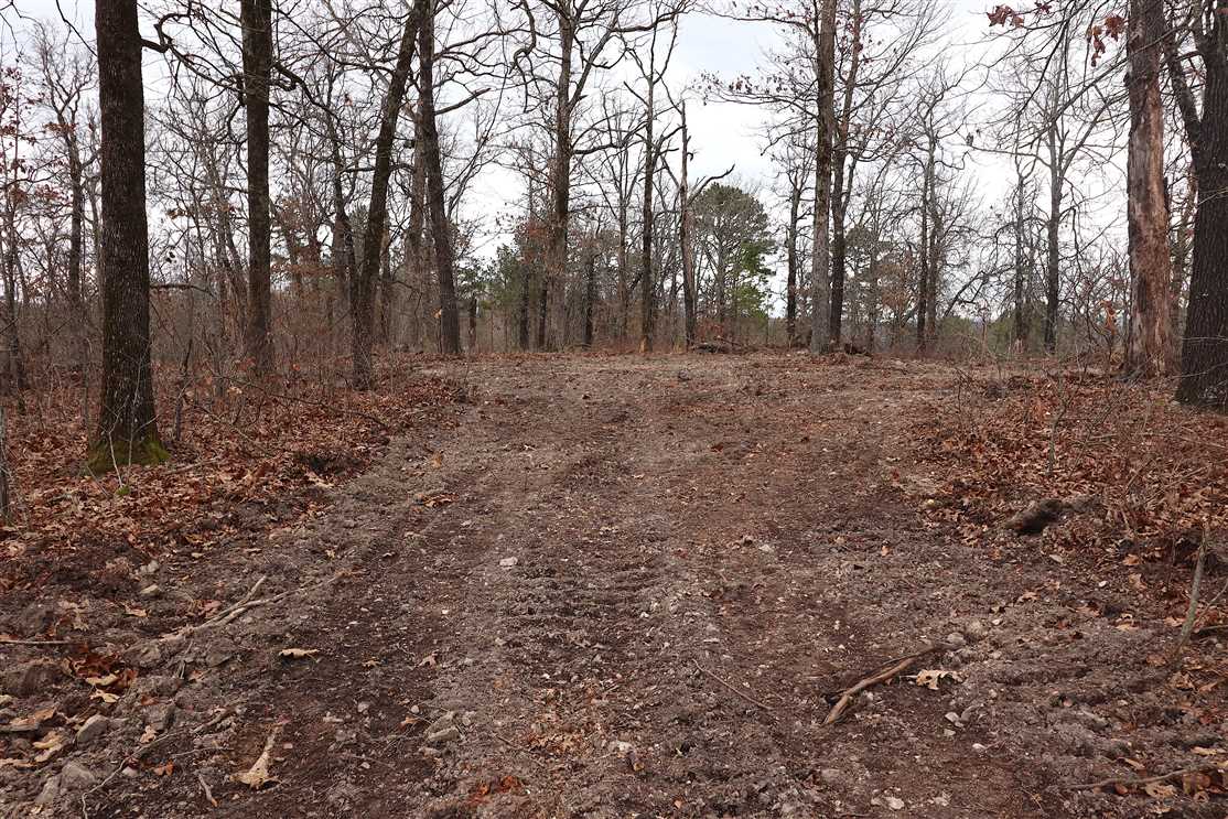 44.04 Acres of Land for sale in carroll County, Arkansas