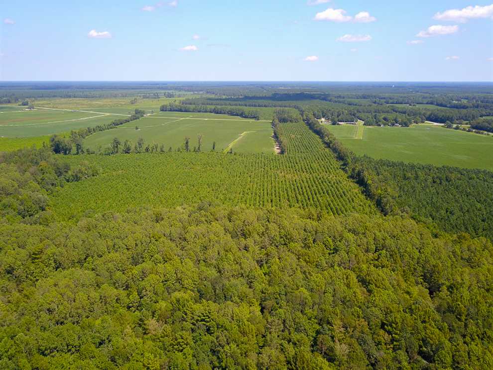 Land for sale to buy in 27847 zip code