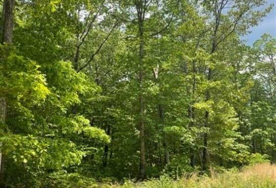 10.51 Acres of Land for Sale in grundy County Tennessee