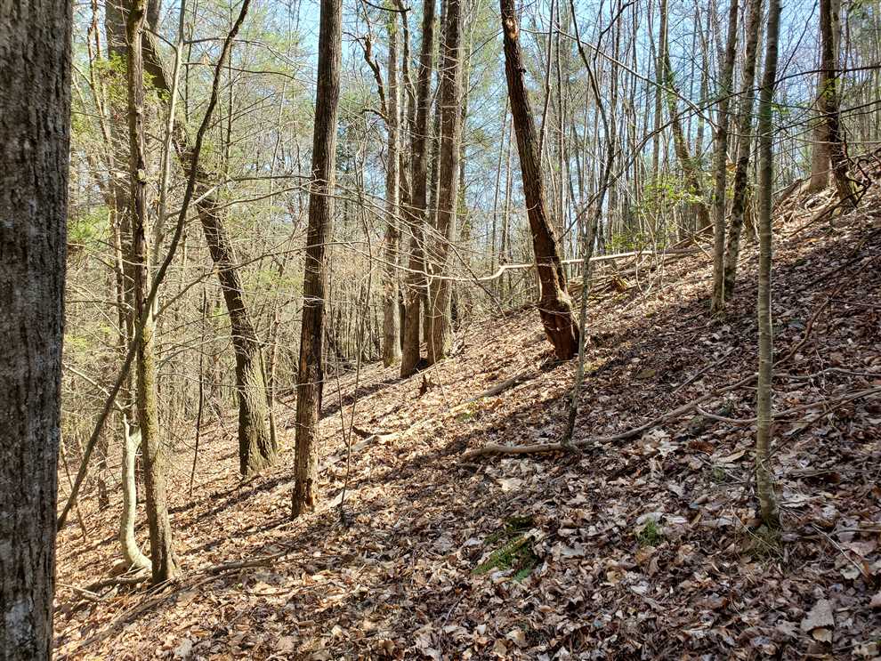 property for sale on The Land Market