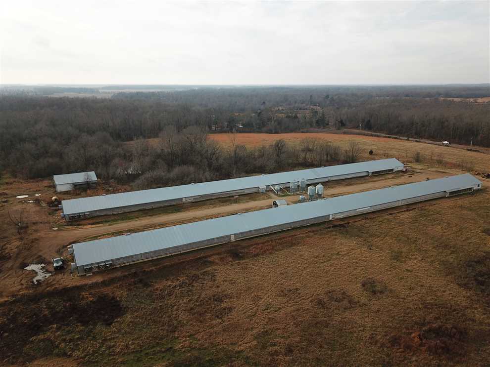Poultry Operation on 10 Acres For Sale in Doniphan, Missouri, Ripley County Real estate listing