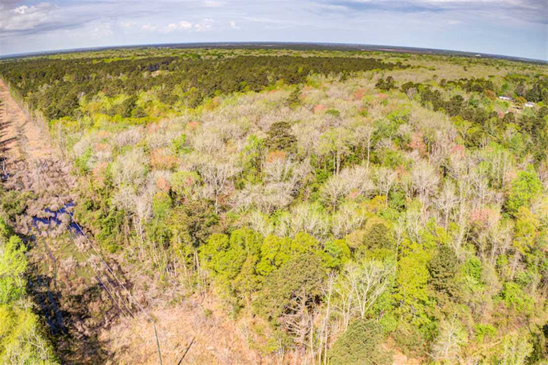 16.55 Acres of Land for sale in bladen County, North Carolina