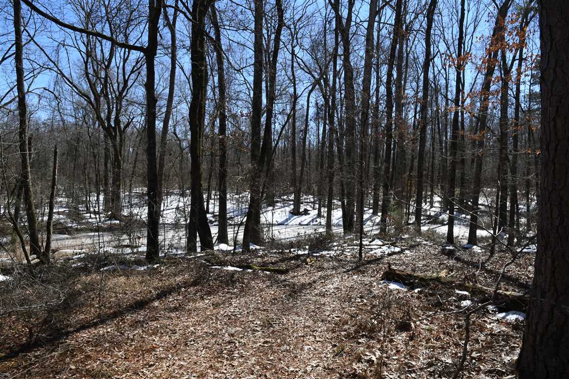 Mayflower Timberland Real estate listing