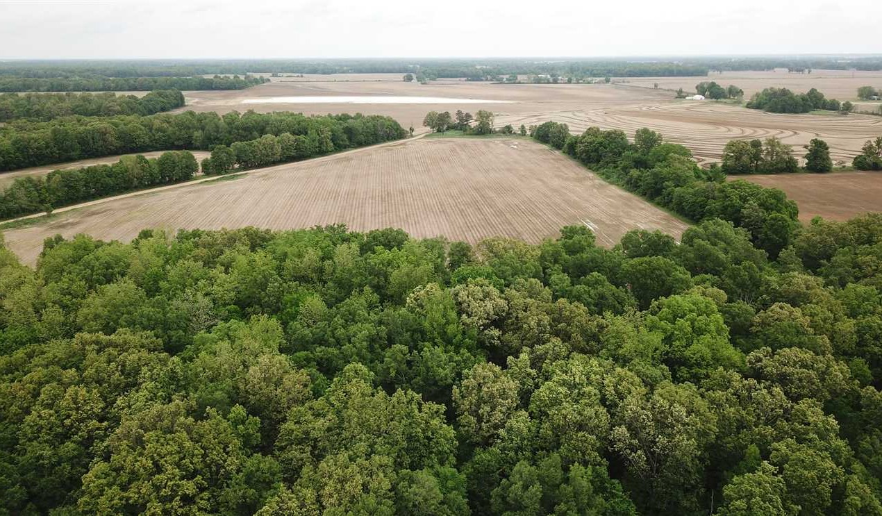 Houses and land for sale in Arkansas