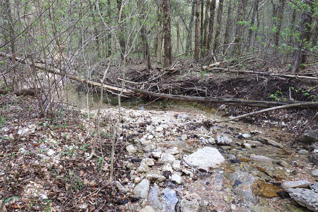 10 Acres of Recreational land for sale in Eureka Springs, carroll County, Arkansas