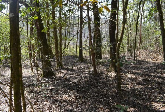 13 Acres of Land for Sale in autauga County Alabama
